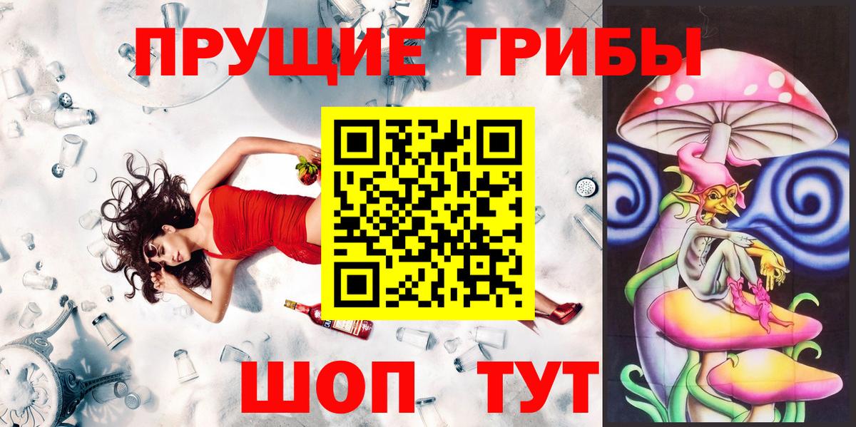 Нарткала  Псилоцибиновые грибы Psilocybine cubensis  Вход с VPN 